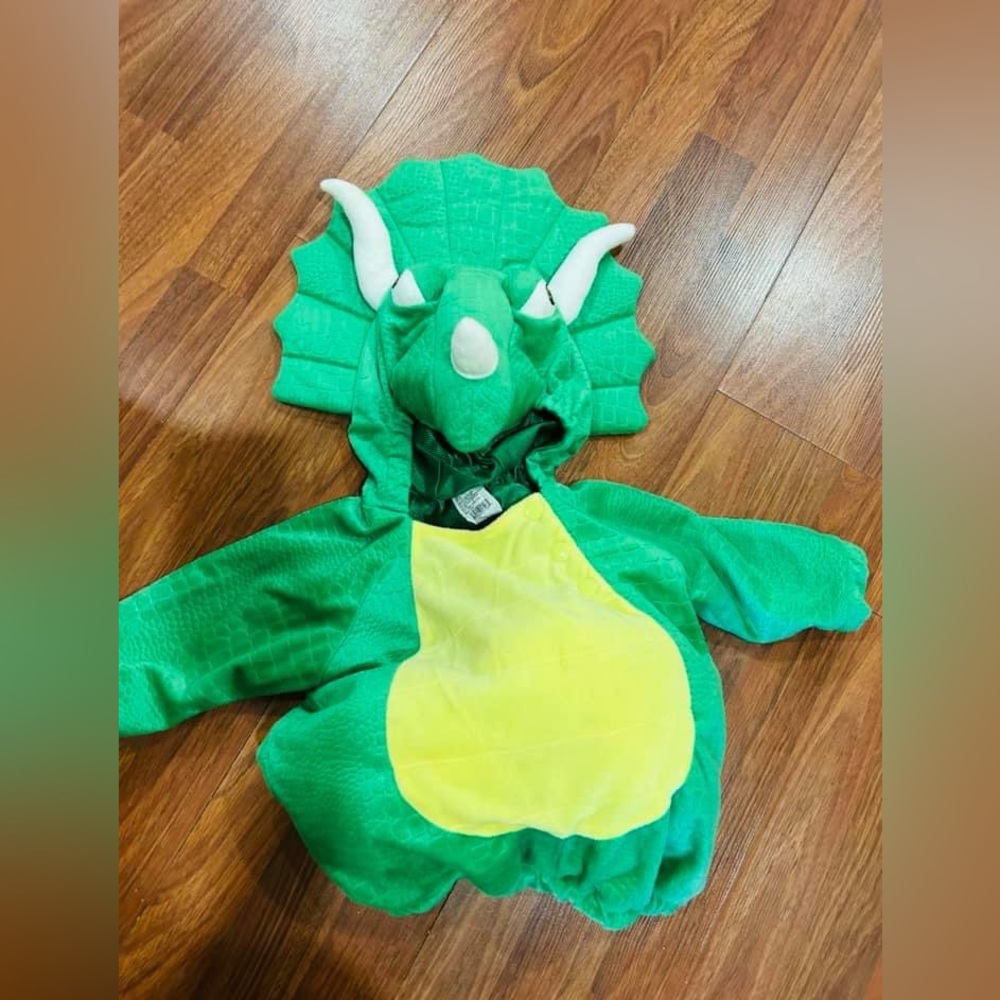 Baby Dino costume